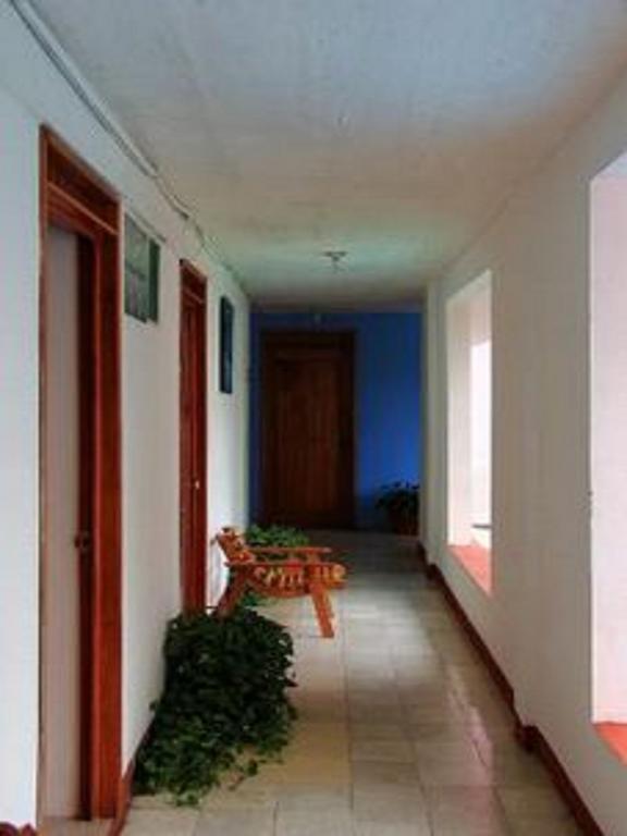Hotel Mallorca Palenque Exteriör bild